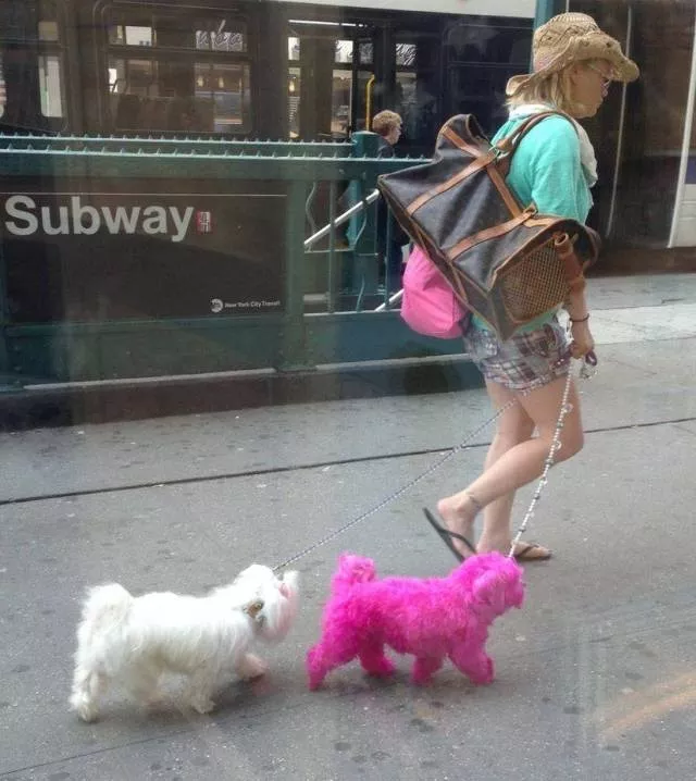 Picdump 502 - #70 