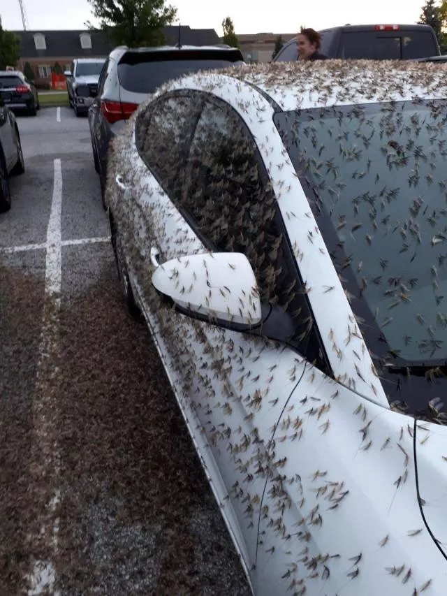 Picdump 502 - #78 