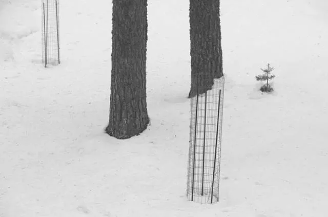 Pictures with perfect timing denis cherim - #12 