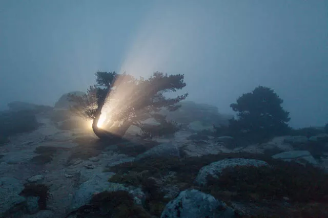 Pictures with perfect timing denis cherim - #19 