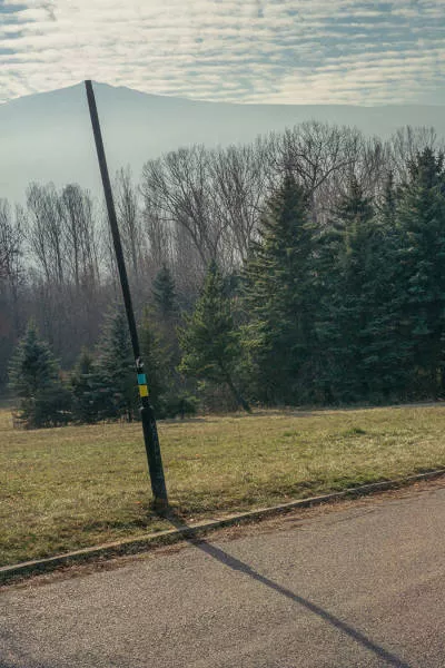 Pictures with perfect timing denis cherim - #28 