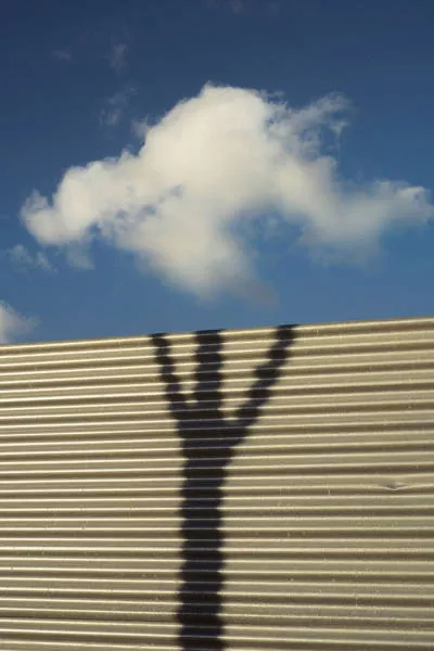 Pictures with perfect timing denis cherim - #30 