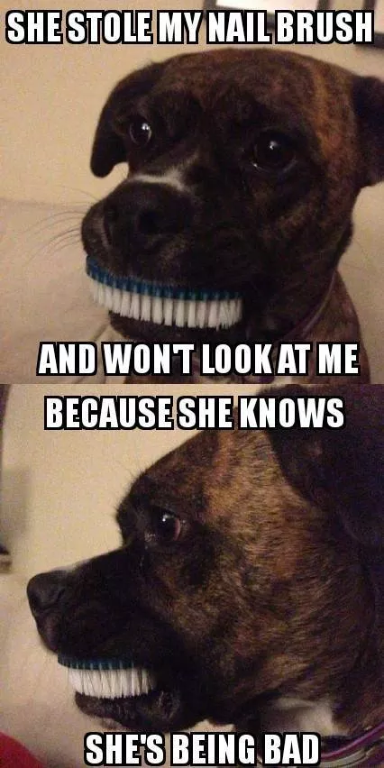 Picdump 503 - #20 