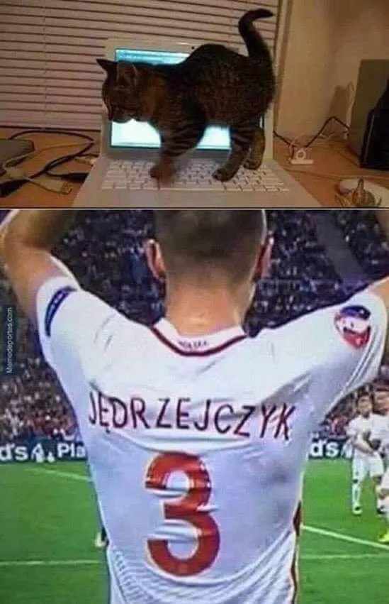 Picdump 503 - #41 
