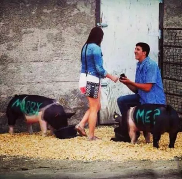 Picdump 503 - #42 