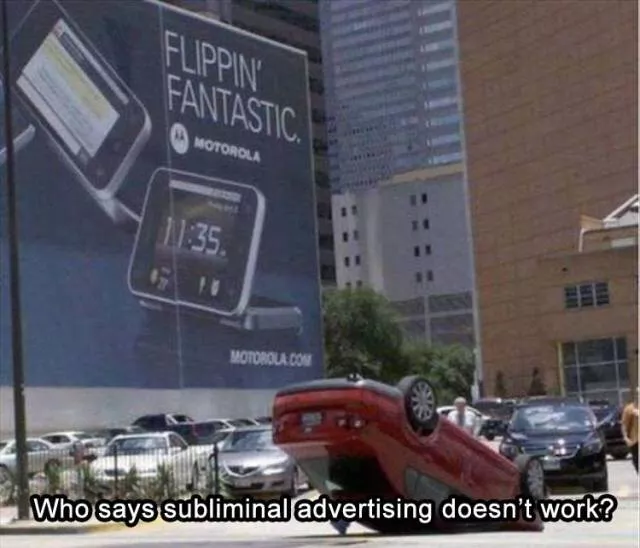 Picdump 503 - #47 