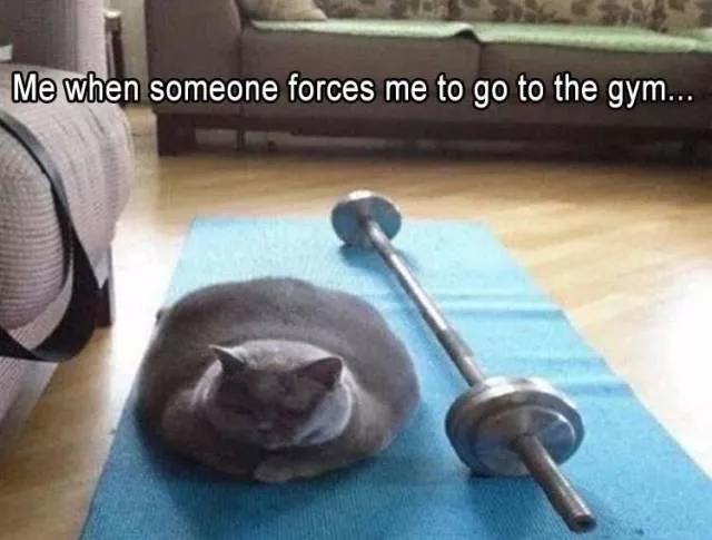 Picdump 503 - #54 