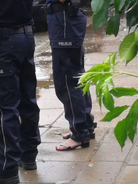Picdump 504 - #13 