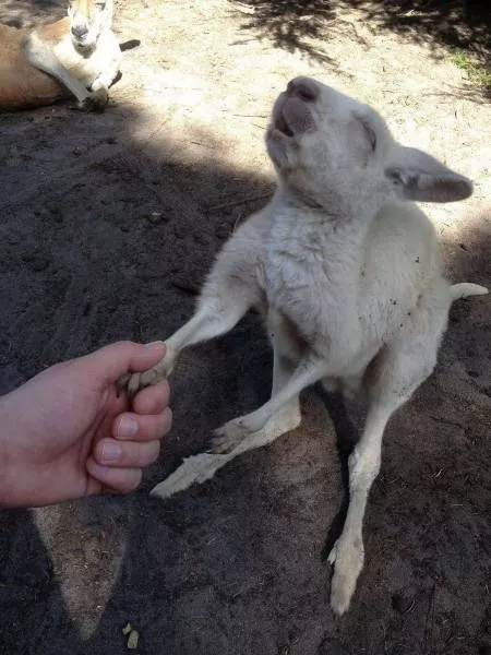 Picdump 504 - #14 