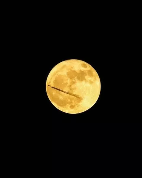 Vous ete chanceux de pouvoir voir ces photos - #29 