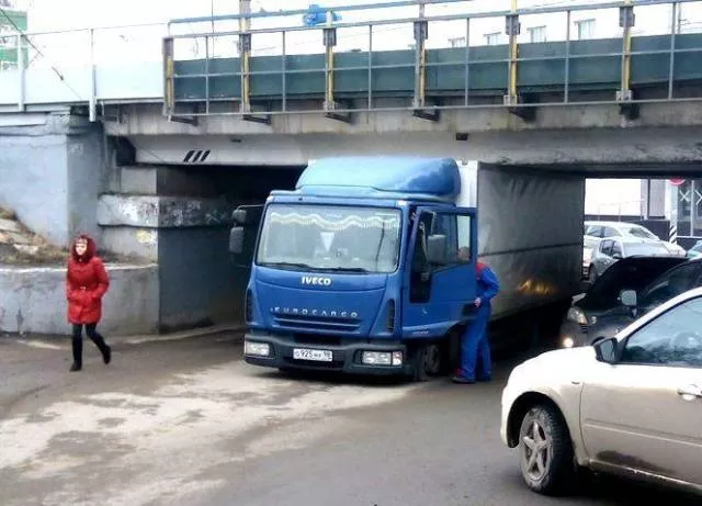 Picdump 505 - #18 