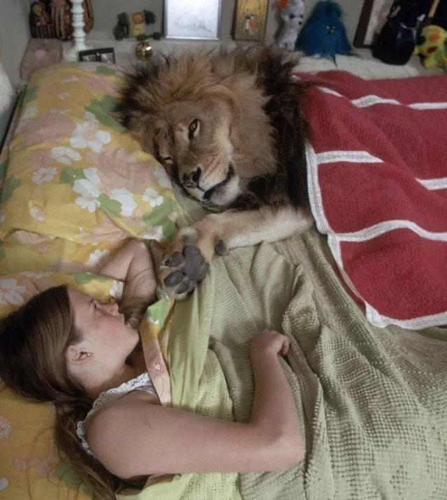 Picdump 505 - #19 