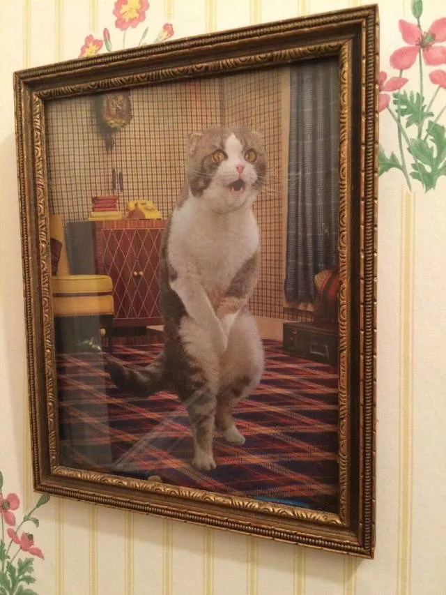 Picdump 505 - #23 