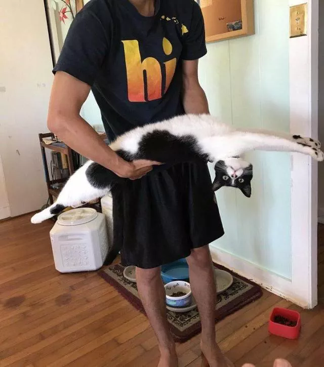 Picdump 505 - #31 