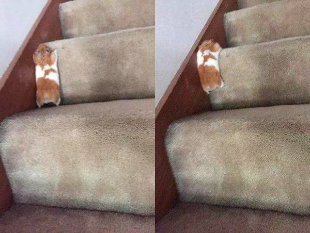 Picdump 505 - #40 