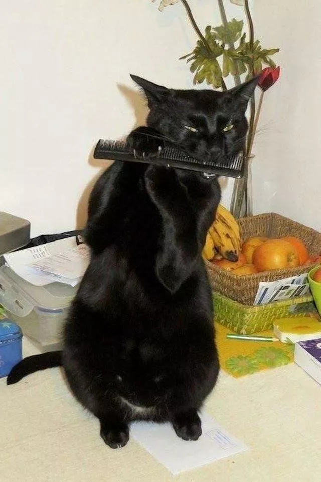 Picdump 505 - #41 