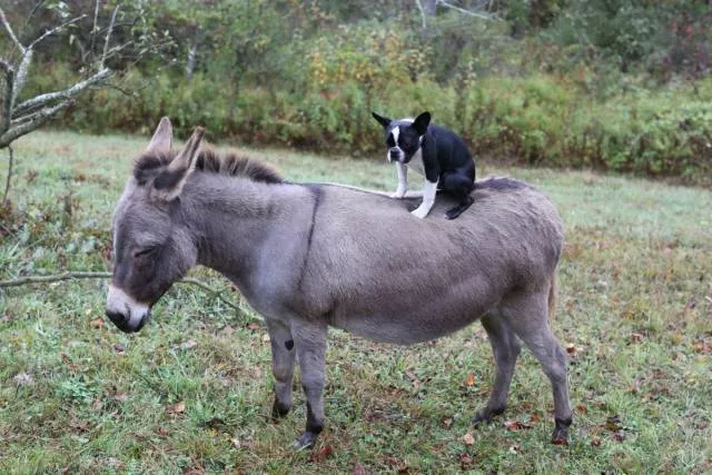 Picdump 505 - #47 