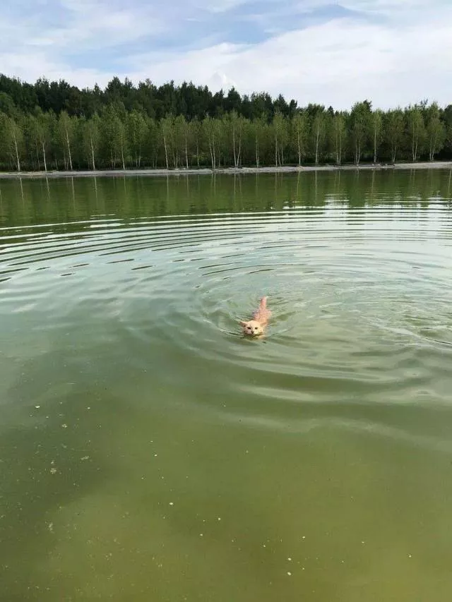 Picdump 505 - #50 