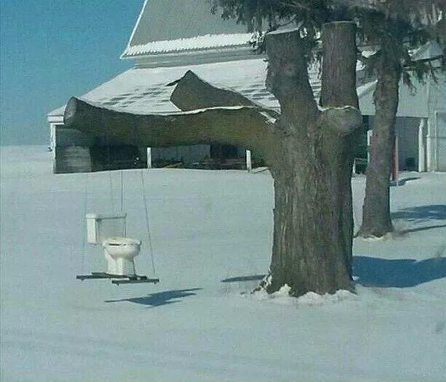 Picdump 505 - #54 