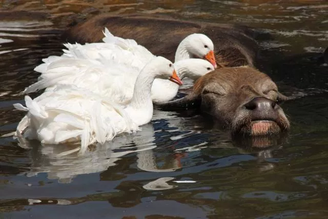 Picdump 505 - #64 