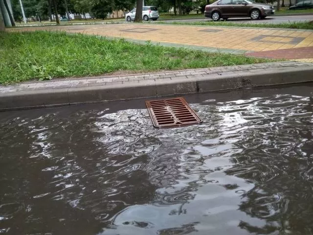Picdump 505 - #65 