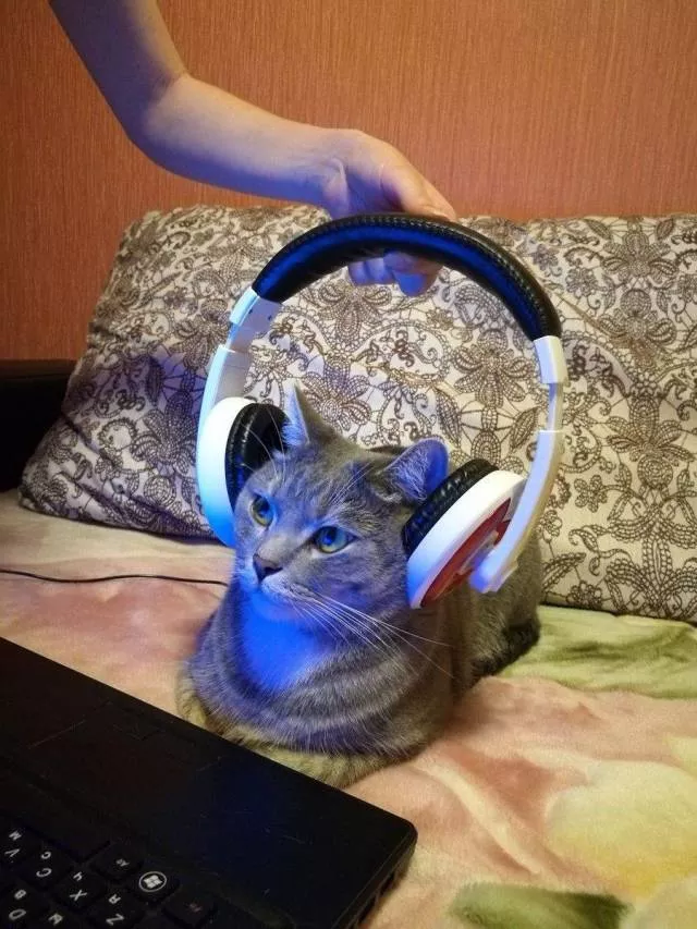 Picdump 505 - #68 