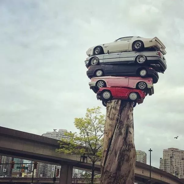 Picdump 505 - #7 
