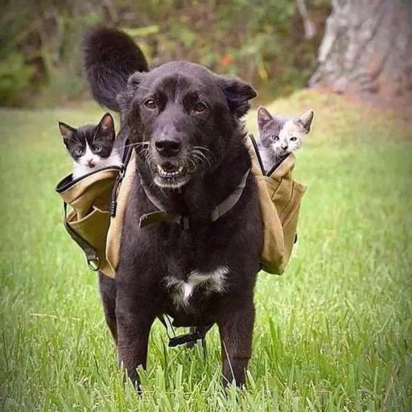 Picdump 505 - #72 