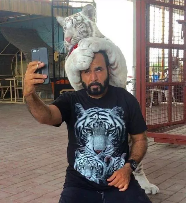 Picdump 505 - #77 