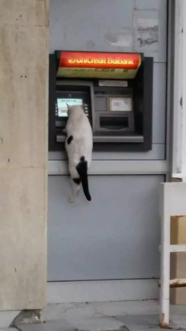 Picdump 505 - #83 