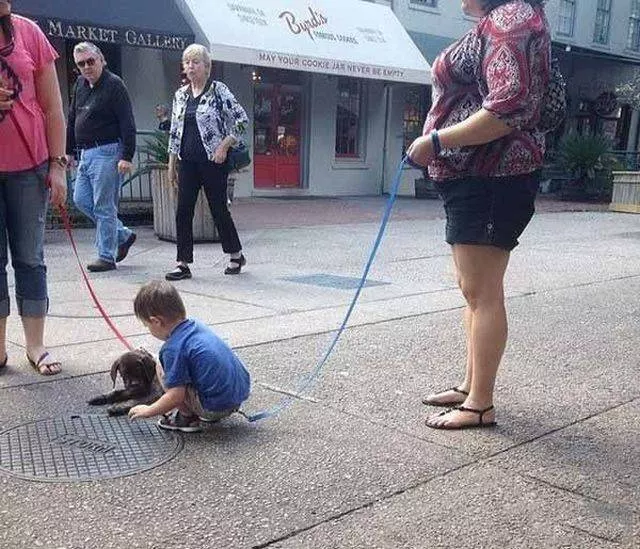 Picdump 505 - #87 