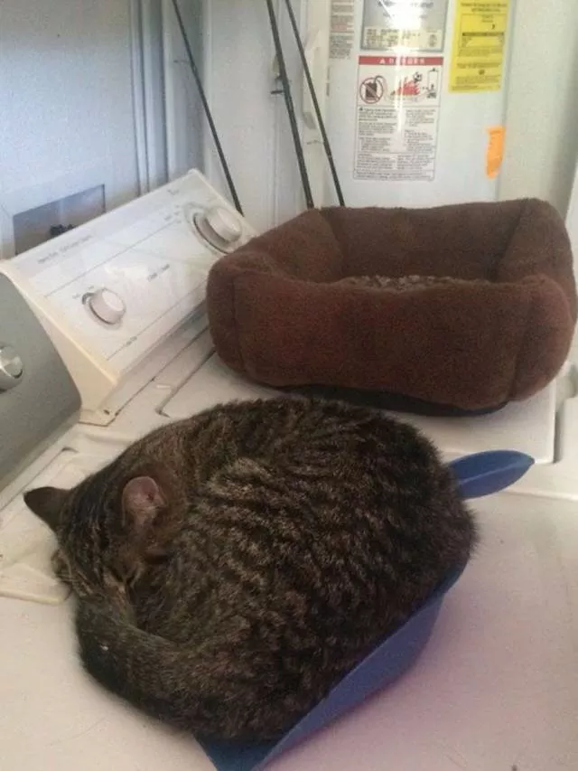 Picdump 505 - #9 