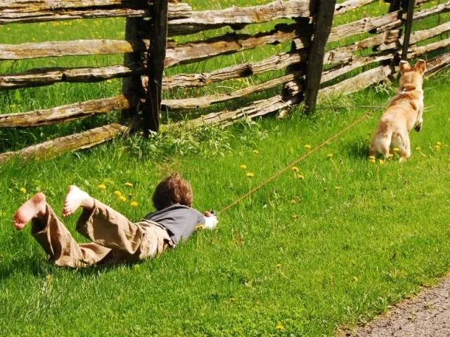 Picdump 505 - #91 