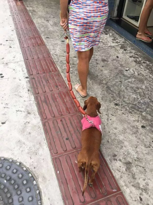 Picdump 505 - #92 