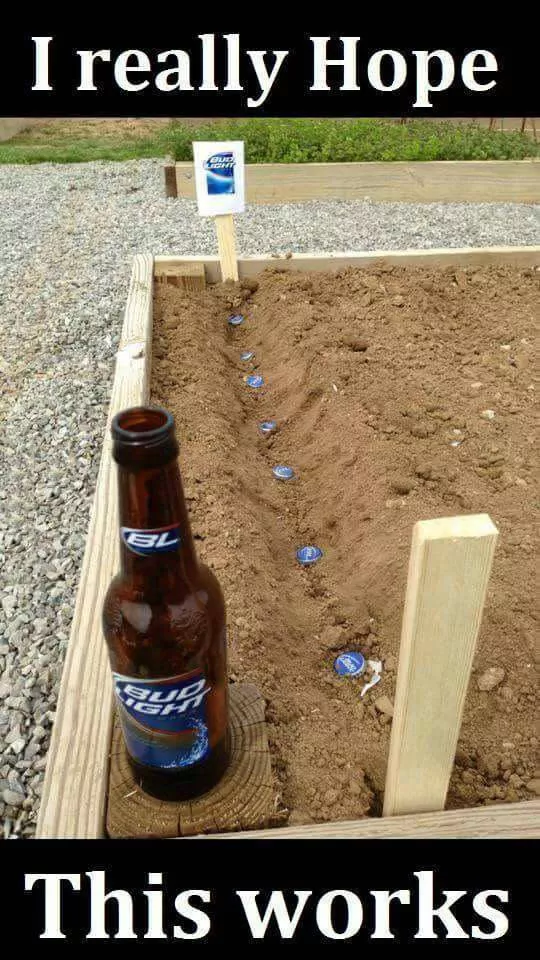 Picdump 87 - #11 