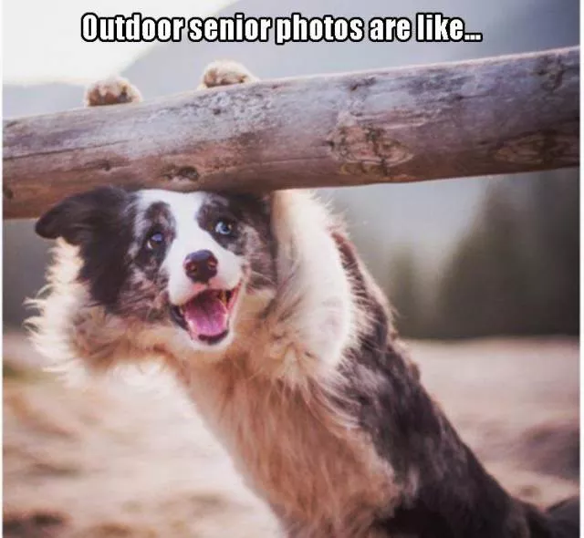 Picdump 87 - #28 