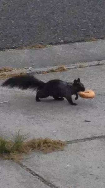 Picdump 87 - #53 