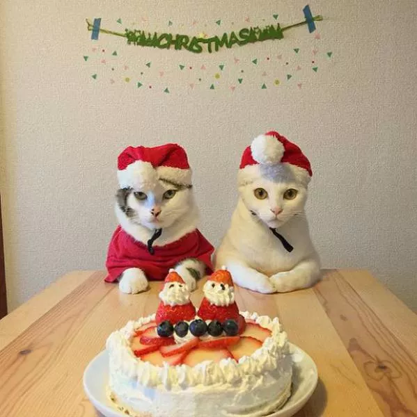 Picdump 87 - #62 