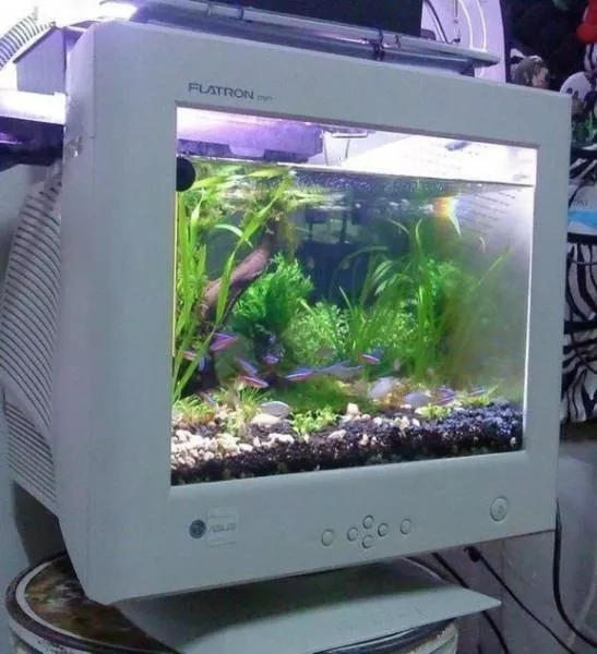 They are not lacking in creativity and imagination - #51 