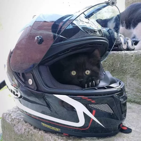 Picdump 507 - #24 