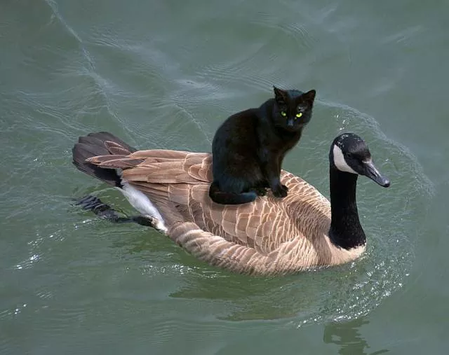 Picdump 507 - #48 