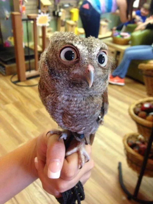 Picdump 507 - #50 
