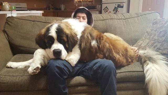 Picdump 507 - #69 