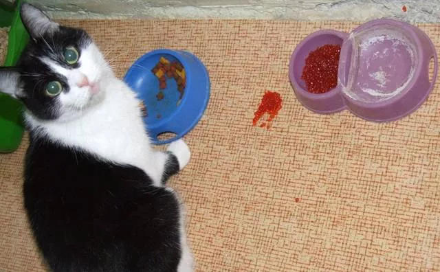 Picdump 507 - #75 