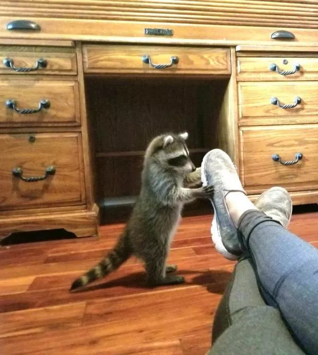Picdump 507 - #76 
