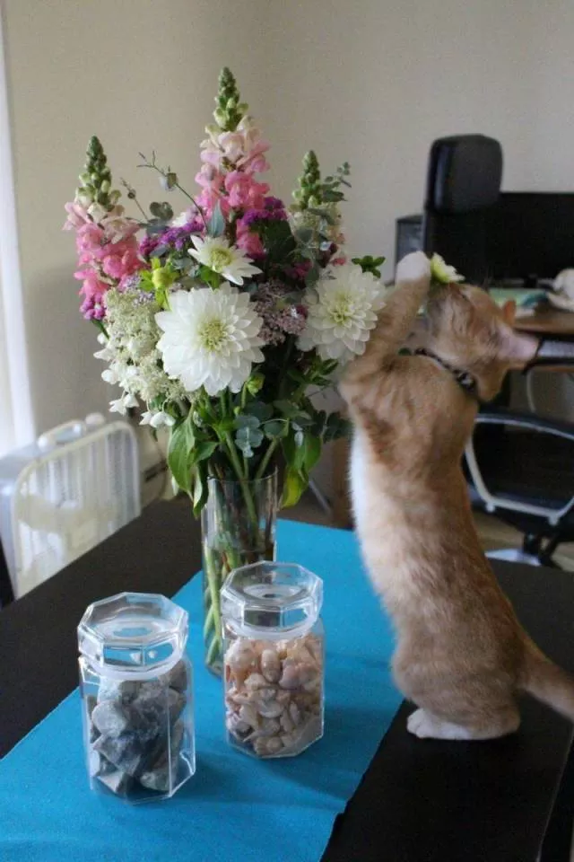 Picdump 507 - #86 