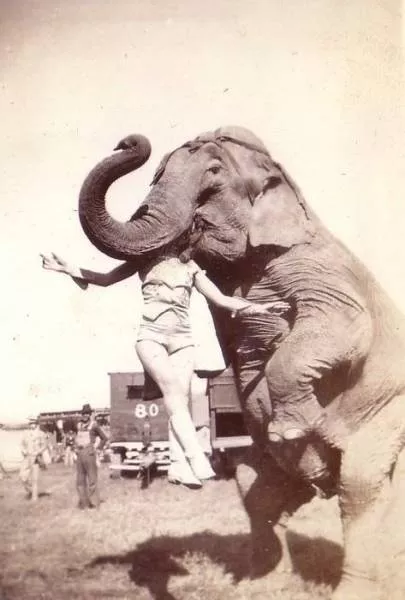 Old and rare images - #1 