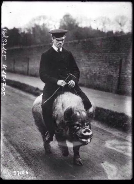 Des images anciens et rares - #3 