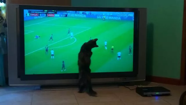 Picdump 509 - #14 