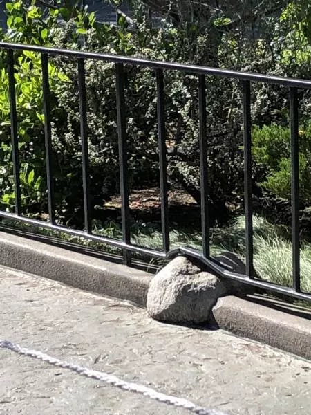 Picdump 509 - #16 